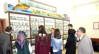 Öğrenciler Balık Müzesini Gezdi