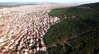Ormanları İmara Açabilecek Yönetmelik Resmi Gazete'de Yayımlandı