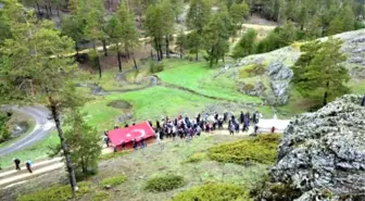 Festivalde 5 Kilometre Boyunca Türk Bayrağı ile Yürüdüler