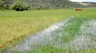 Söke? de Çiftçilerin Tahliye Kanalı İsteği