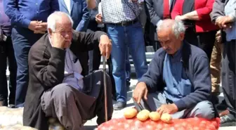 Patates Elde, Soğan Tarlada Kaldı