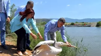 Serçin Ekoturizmin Merkezi Olacak