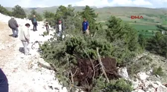 Sandıklı'da Köylülerden Ağaç Kesimine Tepki