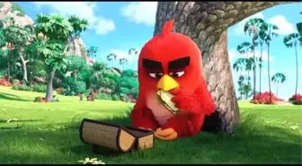 Sinema - Angry Birds Film