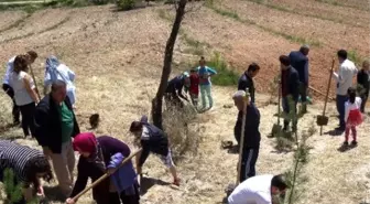 Sultansuyu'nda Anneler Günü Etkinliği