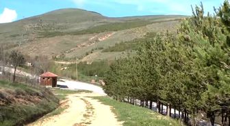 Yeşil Bayburt' İçin Ormanlık Alanlar İki Katına Çıkarıldı
