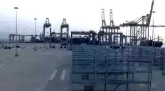 DP World Yarımca Limanı Açılış Töreni