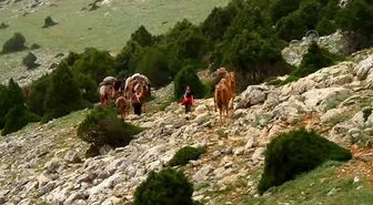 11. Sarıkeçililer Geleneksel Göç Kervanı' Etkinliği