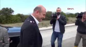 Bakan Soylu, Isparta'da Gül Topladı -2