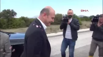 Isparta - Bakan Soylu, Isparta'da Gül Topladı