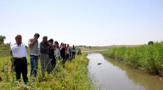 Kokan Gölet İçin Yol Kestiler