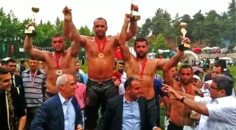 Çalı Güreşleri'nde Ali Gürbüz Başpehlivan