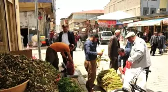 Pancar Pazarına Yoğun İlgi