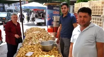 Patates Fiyatları Dibe Vurdu, Üretici İsyanda