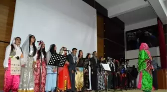 Siirt'te 33 Dil ve Lehçede Konser Verildi