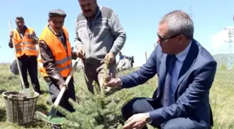 Yılın İlk Fidanları Toprakla Buluşturuldu