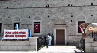 2,5 Milyon Yıllık Fosiller Ziyaretçilerini Bekliyor