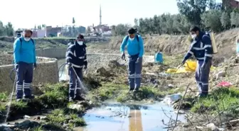 Adana'da Sinek ve Haşereyle Mücadele