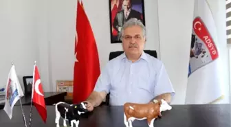 Sağlıklı Olmak İçin Yaşam Boyu Süt Tüketilmeli'