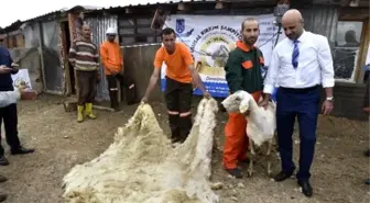 Türkiye'de İlk Defa Kırkım Şampiyonası Düzenlenecek