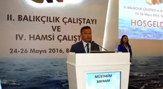 Balığın Yüzde 70'i Karadeniz'de Avlanıyor