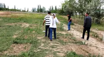 Iğdır Üniversitesi'nde Her Öğrencinin Bir Tarlası Var