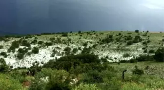 Yozgat'a Dolu Yağışı Ekili Alanlara Zarar Verdi