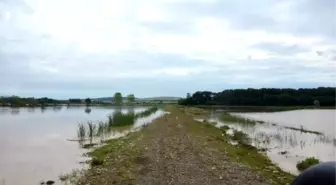 Bafra'da Ekili Araziler Su Altında Kaldı