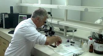 Horozbina Balığı'Nda Kist Oluşturan Parazit Tespit Edildi