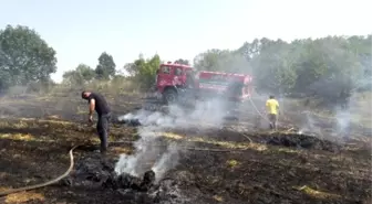 Biga'da Ot Yangını