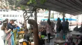 Tokat Gop Ortaokulu'nda '2. Bahar Şenliği'