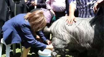 Başkan Şahin'den Kadın Çiftlere Destek