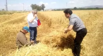 Aydın'da Biçerdöver Kontrolü ve Anız Yangını Tebliği Yayınlandı