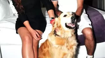 Hayvan Dostu Otelden, Konuklarına Veteriner Hizmeti