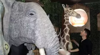 Afrika'yı Evine Taşıdı