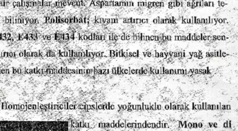 Beslenme Broşüründe Dondurma ve Cipse 'Helal' Uyarısı