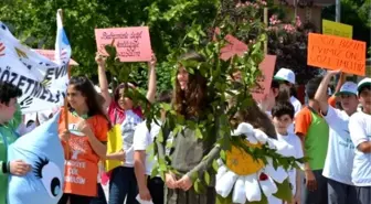 Bafra'da Çevre Günü Etkinliği