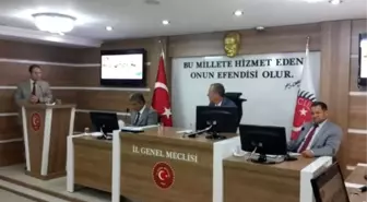 Tarım Müdürü Türkmen, Meclisi Bilgilendirdi