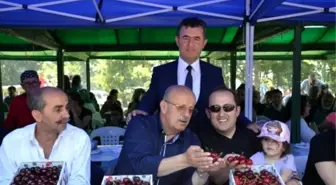 İznik Kirazı Görücüye Çıktı