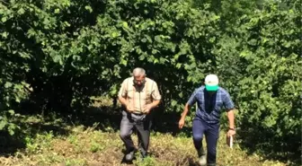 Dolu Yağışının Ardından Hasar Tespitleri