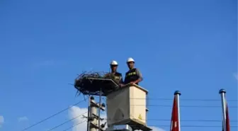 Leylekler İçin Yapay Yuva