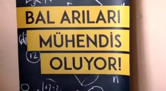 Bal Arıları Mühendis Oluyor Projesi'