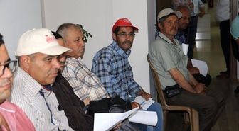 Hatice Teyze'den Sağlıklı Alternatifler