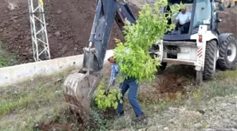 Varto Belediyesi Peyzaj Çalışması Başlattı