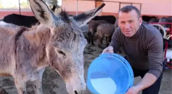 At ve Eşek Sütünün Fiyatı, Altınla Yarışıyor