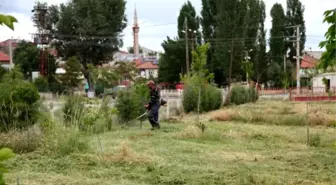 Seydişehir Belediyesi Ot Biçme Çalışmaları Devam Ediyor