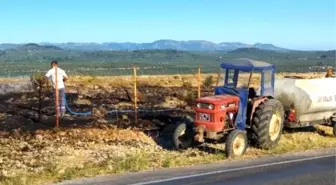 Ayvalık'ta Ormanlık Alanda Çıkan Yangın Korkuttu