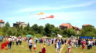 Çaycuma'da Geleneksel Uçurtma Şenliği Yapıldı