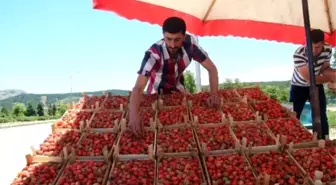 Elazığ'a Özgü Meşhur 'Gezin Çileği' Tezgahlara Çıkmaya Başladı