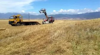 Sulama Kanalına Düşen İnekler, İş Makinesiyle Kurtarıldı